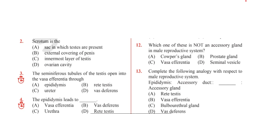 Multiple-choice questions on the male reproductive system with highlighted answers for quick practice.