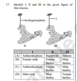 Diagram based question on Marchantia from a NEET test series practice paper