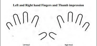 NEET-UG 2025 Application Form - Thumb impression example