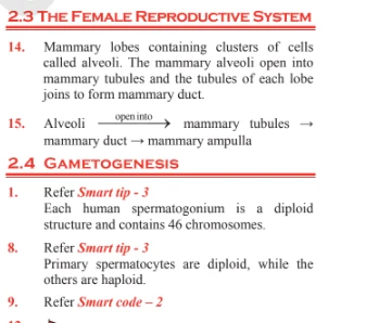 Diagram and notes explaining the female reproductive system and gametogenesis with labeled points.