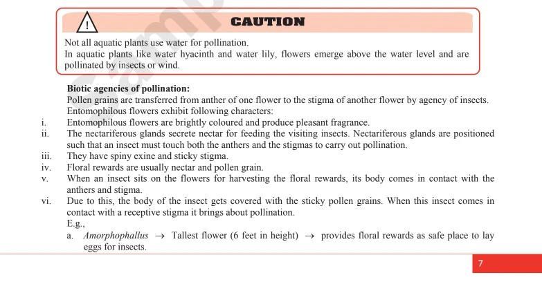A page from an educational textbook on pollination, detailing biotic agencies of pollination, specifically through insects