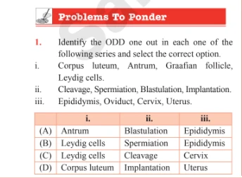 Multiple-choice biology question on identifying the odd one out in reproductive system terms and processes